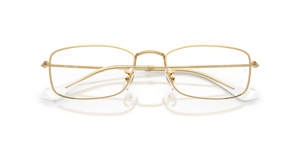 Ray - Ban RX6647 2500
