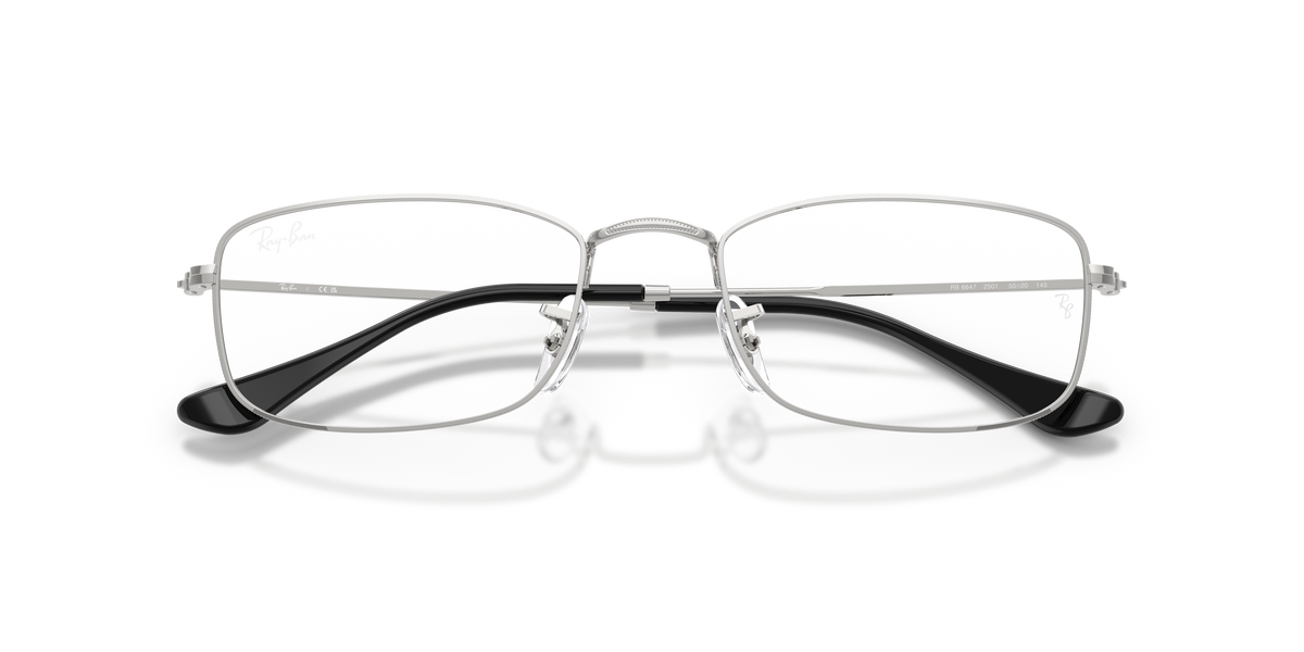 Ray - Ban RX6647 2501