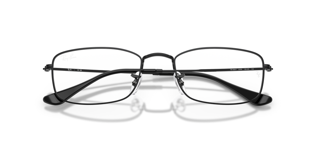 Ray - Ban RX6647 2509