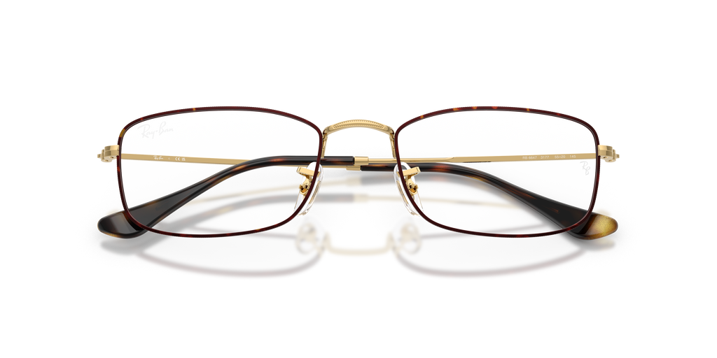Ray - Ban RX6647 3177