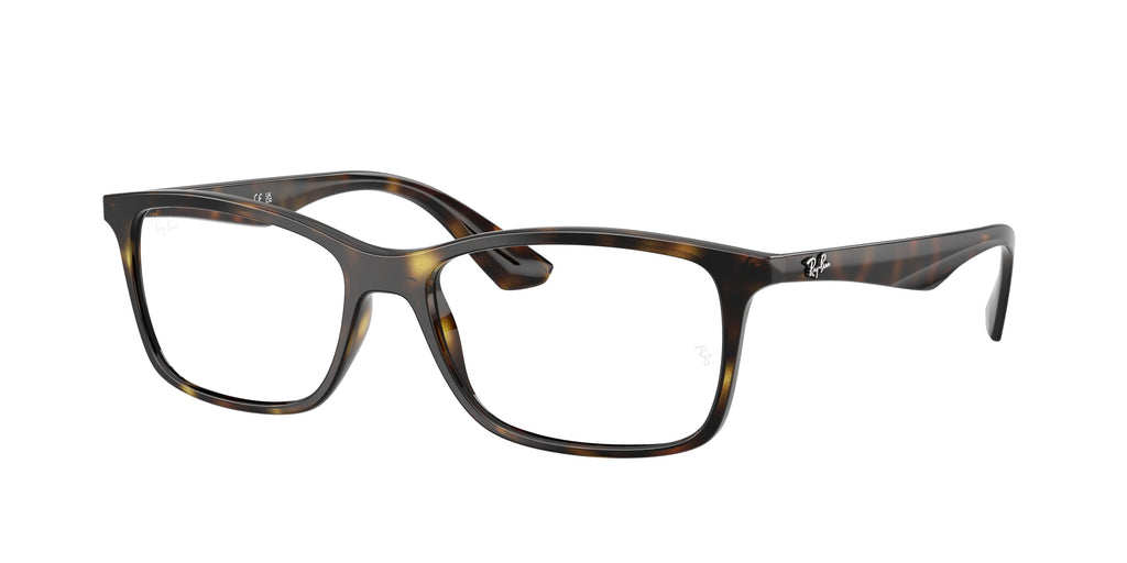 Ray - Ban RX7047 2012
