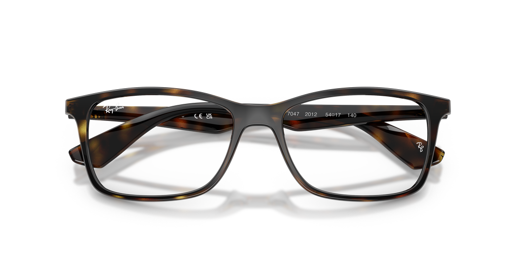 Ray - Ban RX7047 2012