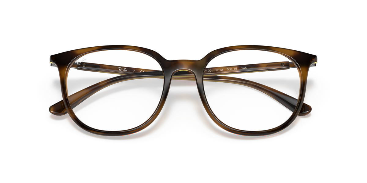 Ray - Ban RX7190 2012