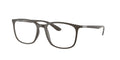 Ray - Ban RX7199 8063