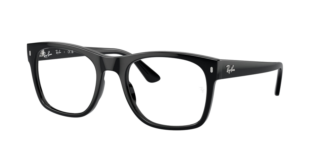 Ray - Ban RX7228 2000