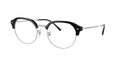 Ray - Ban RX7229 2000