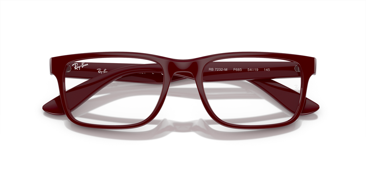 Ray - Ban RX7232M F685
