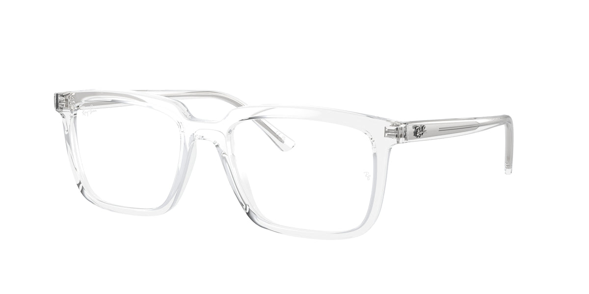 Ray - Ban RX7239 ALAIN 2001