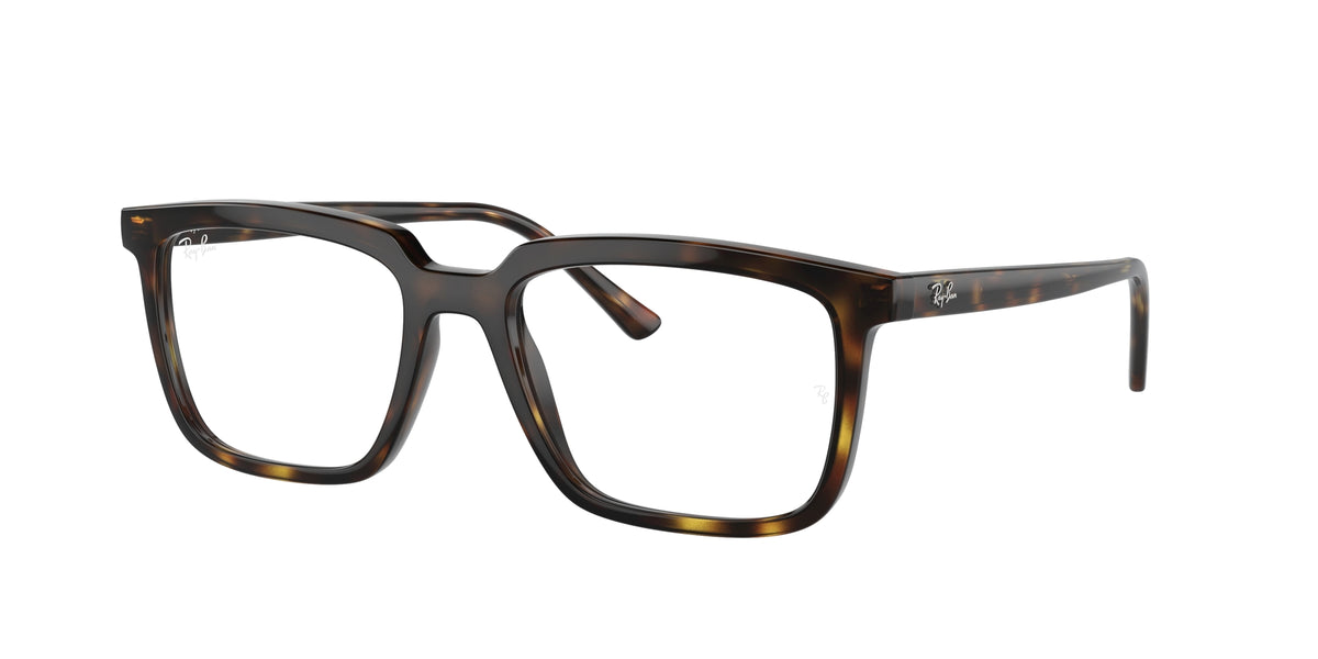 Ray - Ban RX7239 ALAIN 2012