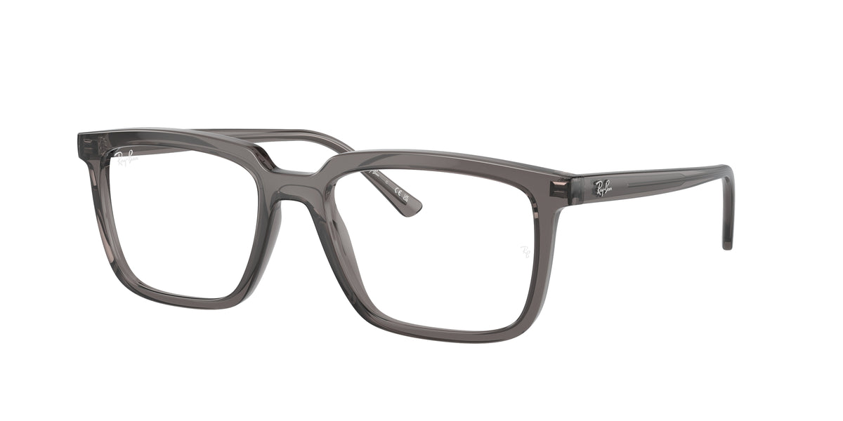Ray - Ban RX7239 ALAIN 8257