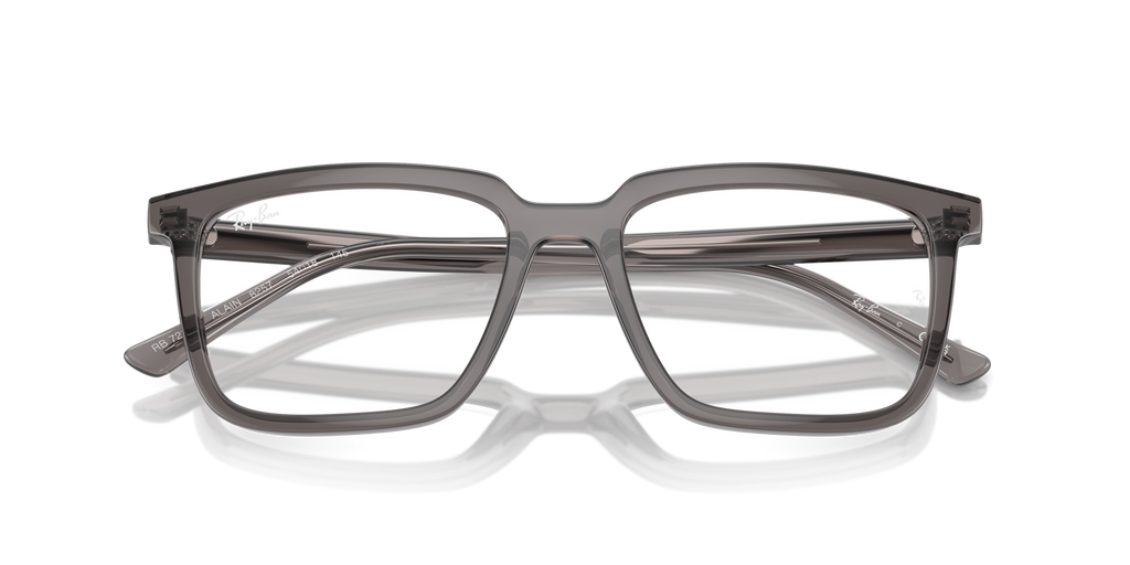 Ray - Ban RX7239 ALAIN 8257