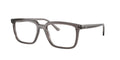 Ray - Ban RX7239 ALAIN 8506