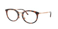 Ray - Ban RX7255 5687