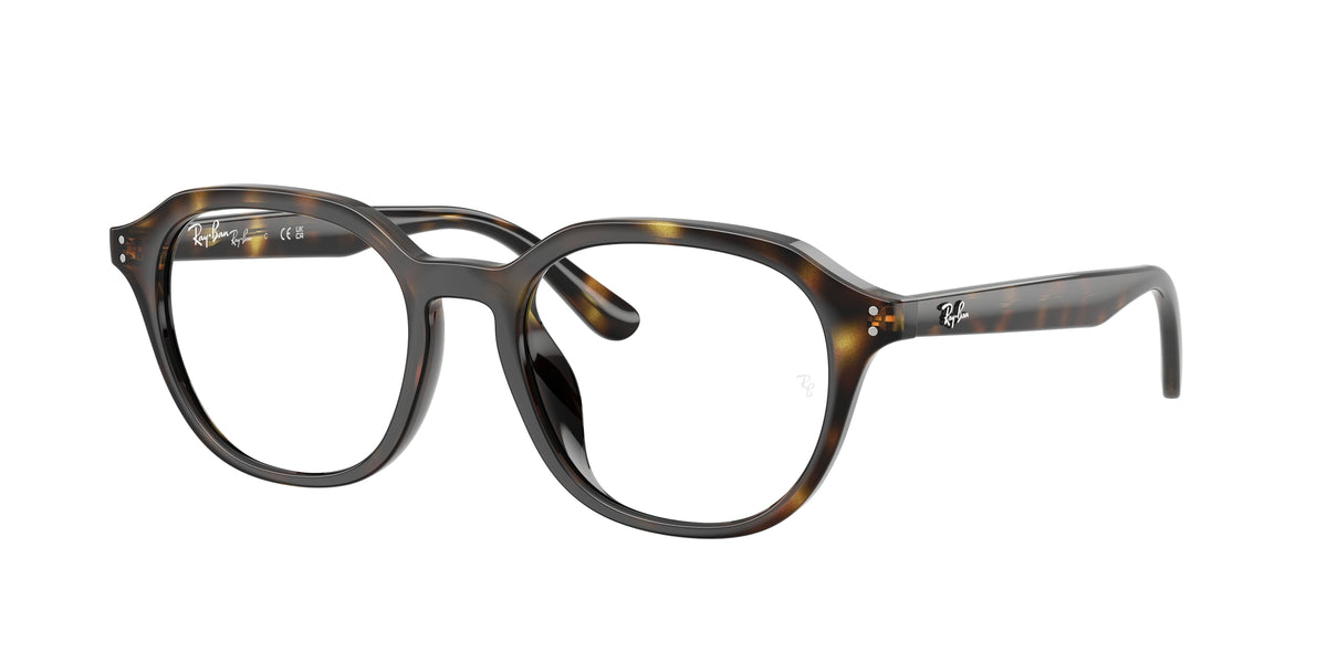 Ray - Ban RX7259D 2012