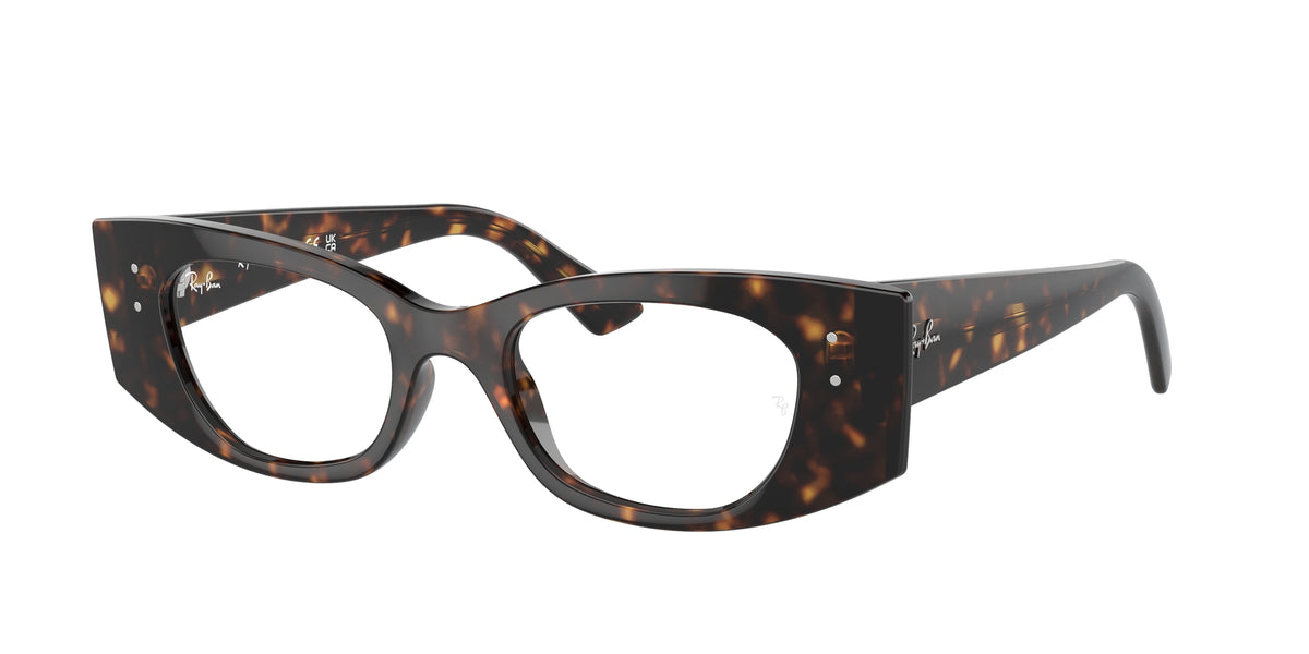 Ray - Ban RX7327 KAT 8320