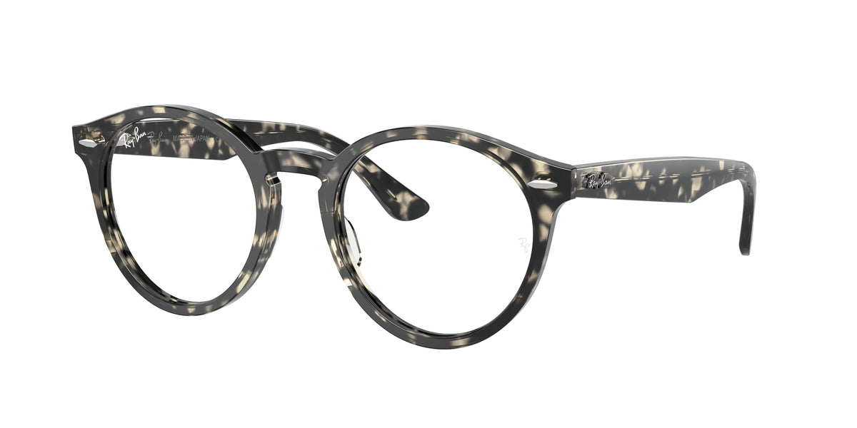 Ray - Ban RX7680V LARRY 8117