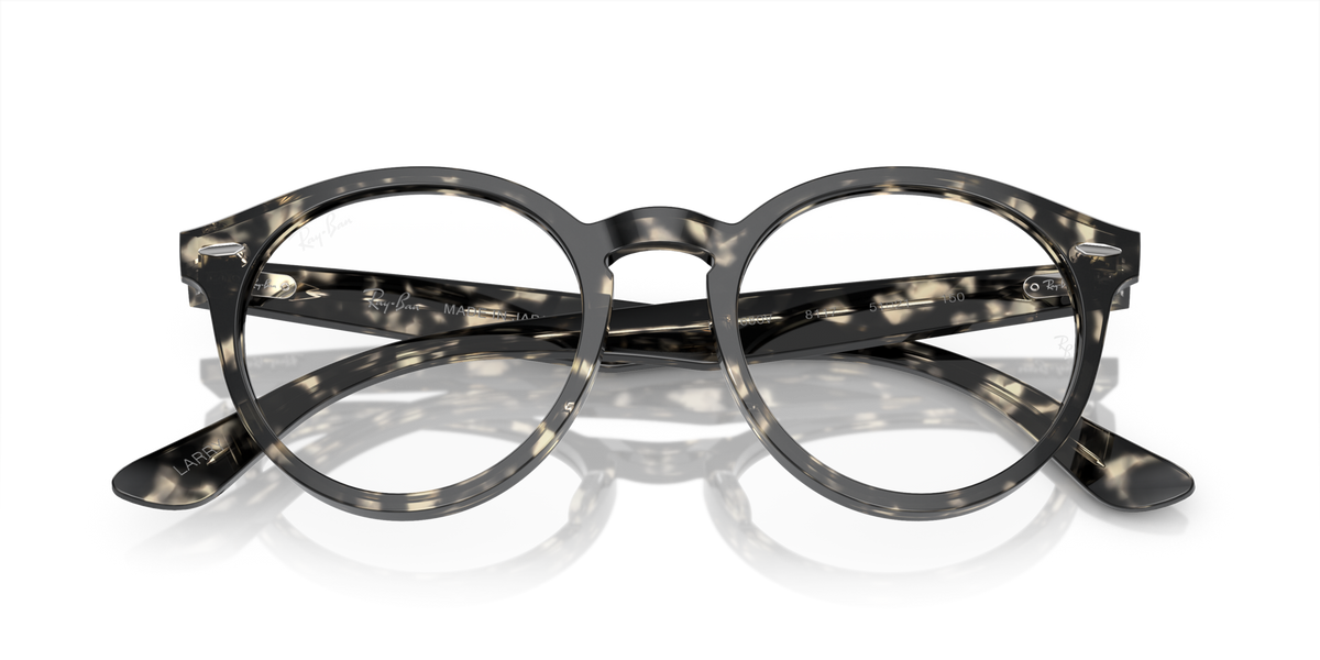 Ray - Ban RX7680V LARRY 8117