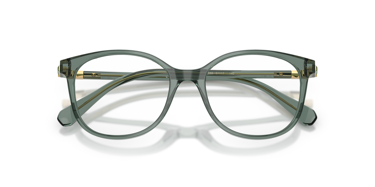 Swarovski SK2002 1043