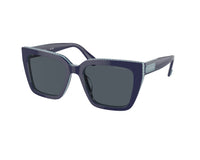 Swarovski SK6013 101887