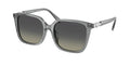 Swarovski SK6053D 106211