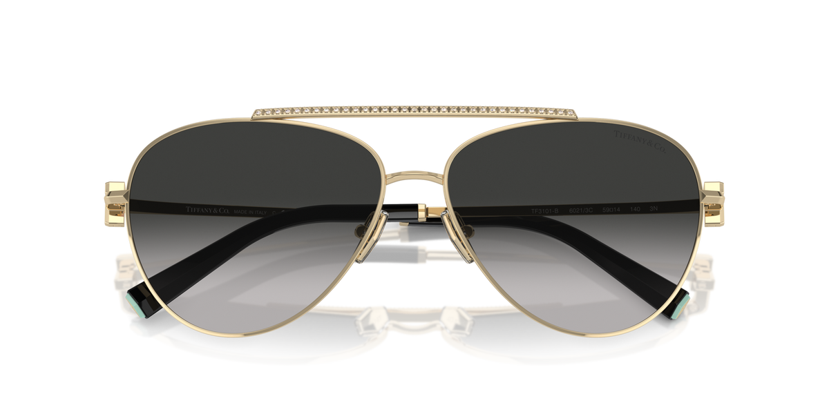 Tiffany TF3101B 60213C