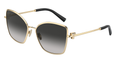 Tiffany TF3102B 60213C