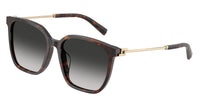 Tiffany TF4244D 80153C