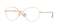 Versace VE1313D 1520