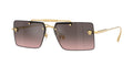 Versace VE2245 100258