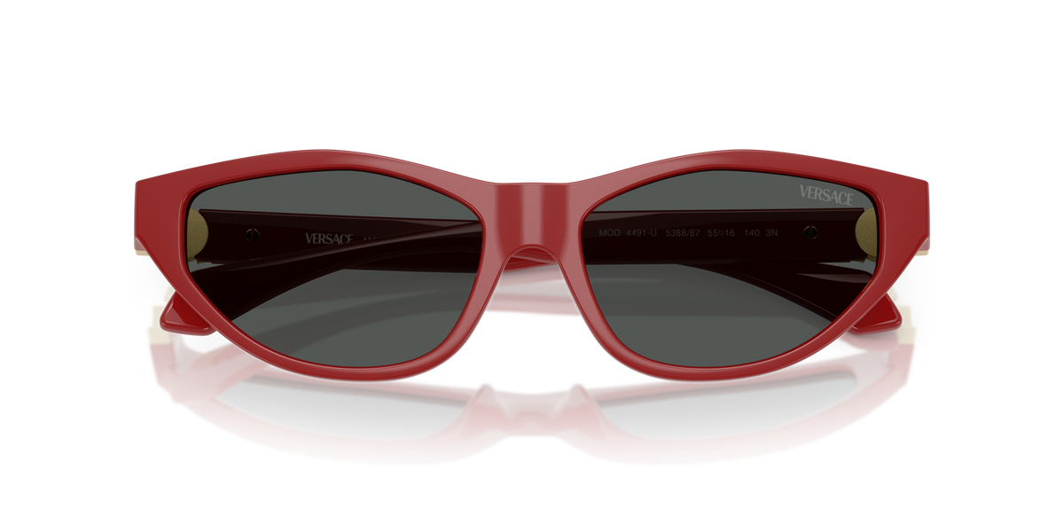 Versace VE4491U 538887
