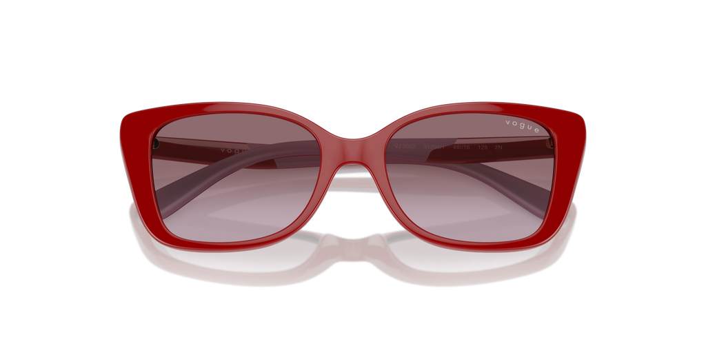 VOGUE EYEWEAR VJ2022 31298H