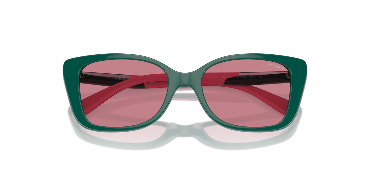 VOGUE EYEWEAR VJ2022 313169