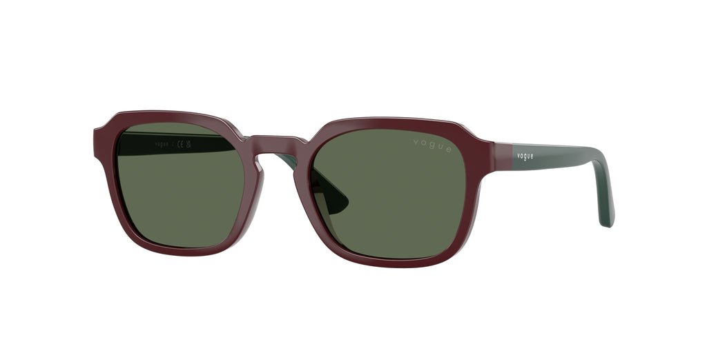 VOGUE EYEWEAR VJ2025 247371
