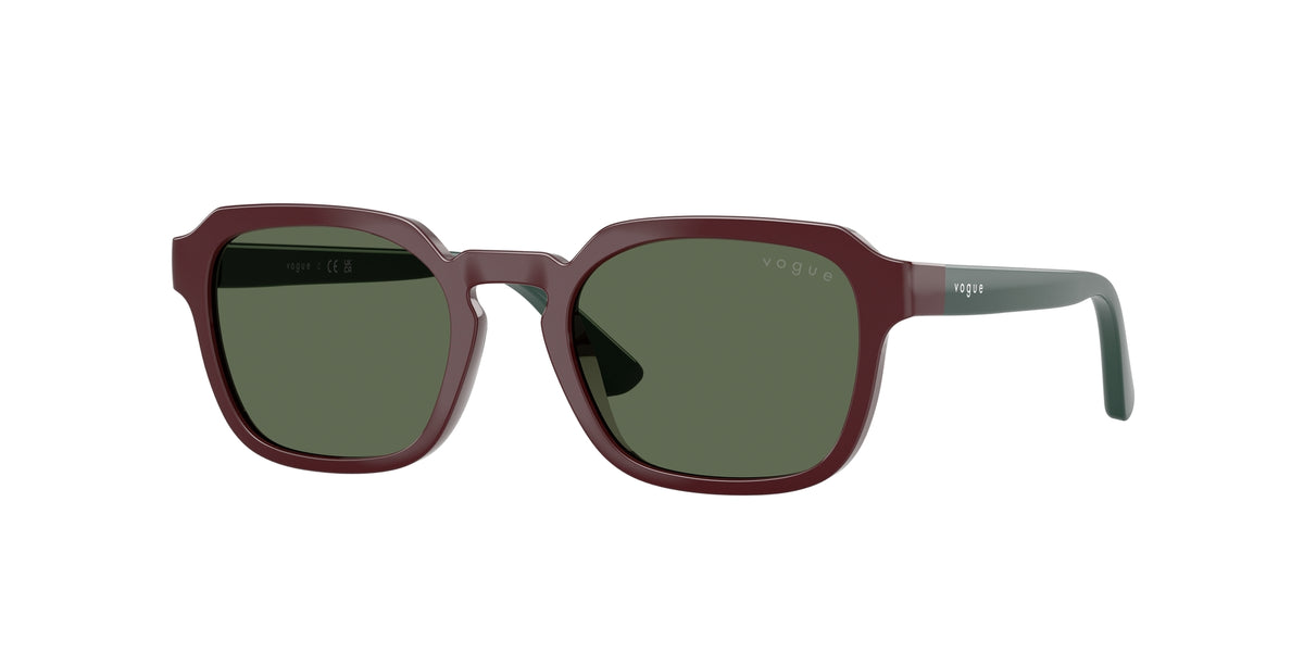VOGUE EYEWEAR VJ2025 247371