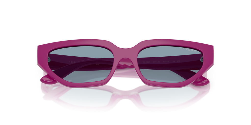 VOGUE EYEWEAR VJ2029 230180