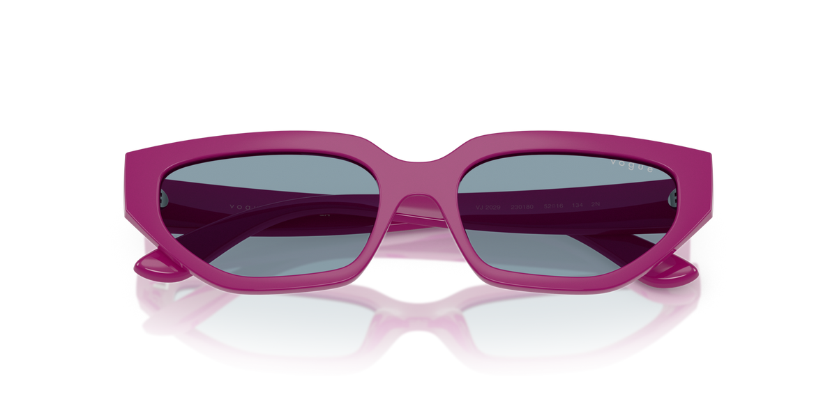 VOGUE EYEWEAR VJ2029 230180