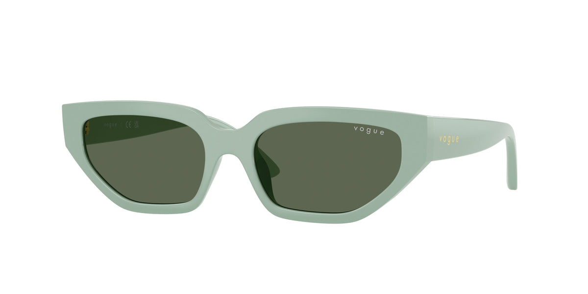 VOGUE EYEWEAR VJ2029 320571