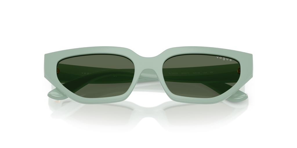 VOGUE EYEWEAR VJ2029 320571