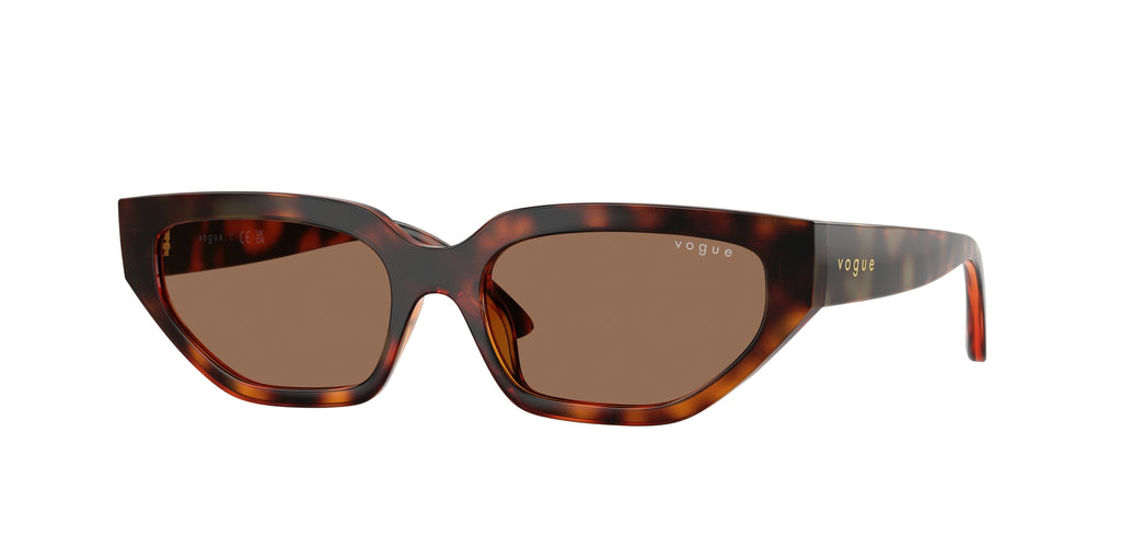 VOGUE EYEWEAR VJ2029 W65673