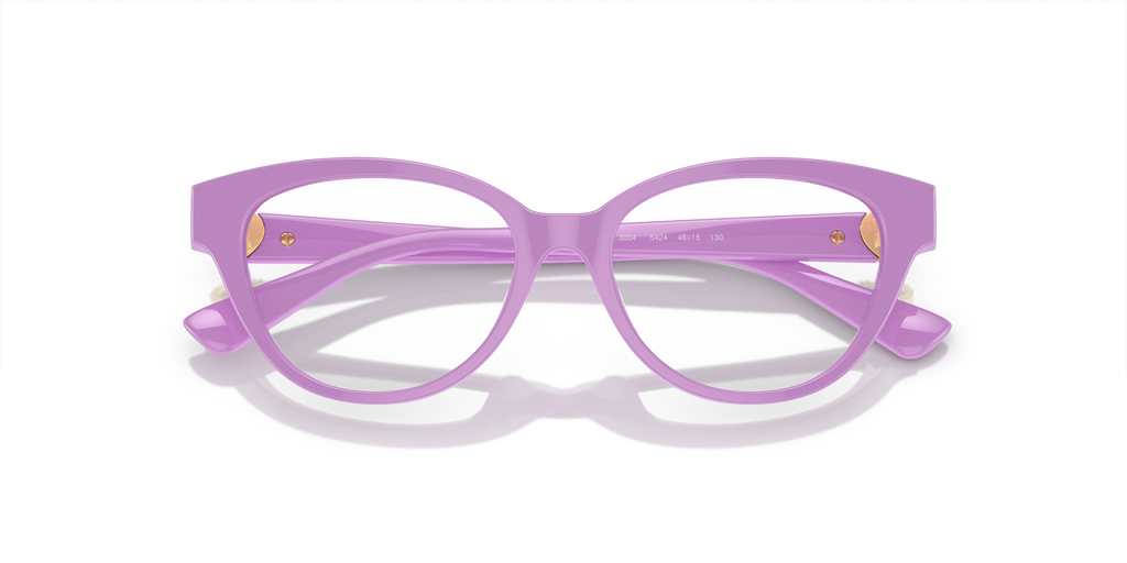 Versace VK3004 5424