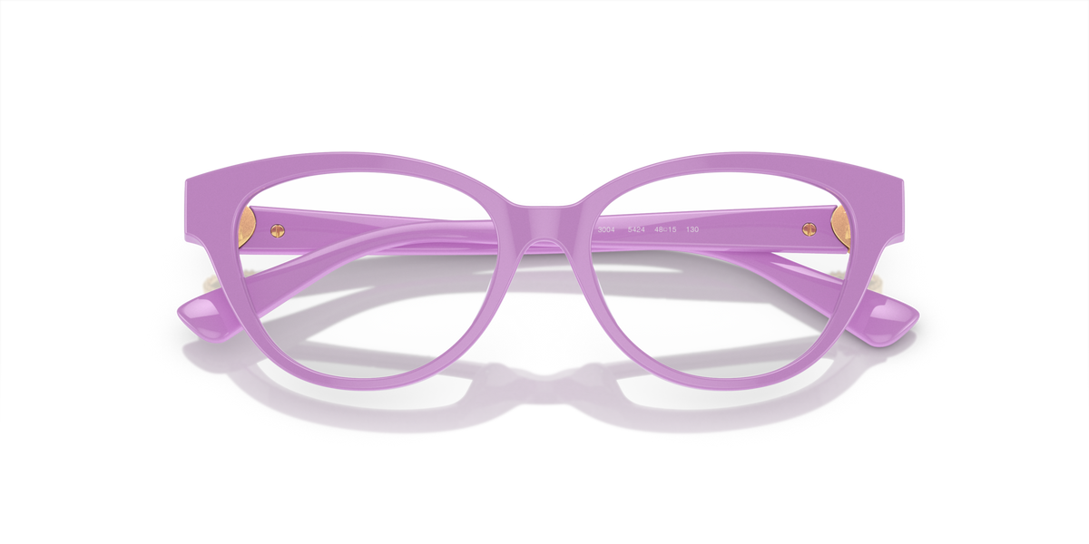 Versace VK3004 5424