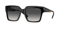 VOGUE EYEWEAR VO5553S W44/8G