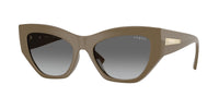 VOGUE EYEWEAR VO5607S 317511