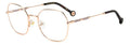 Carolina Herrera HER 0173 DDB
