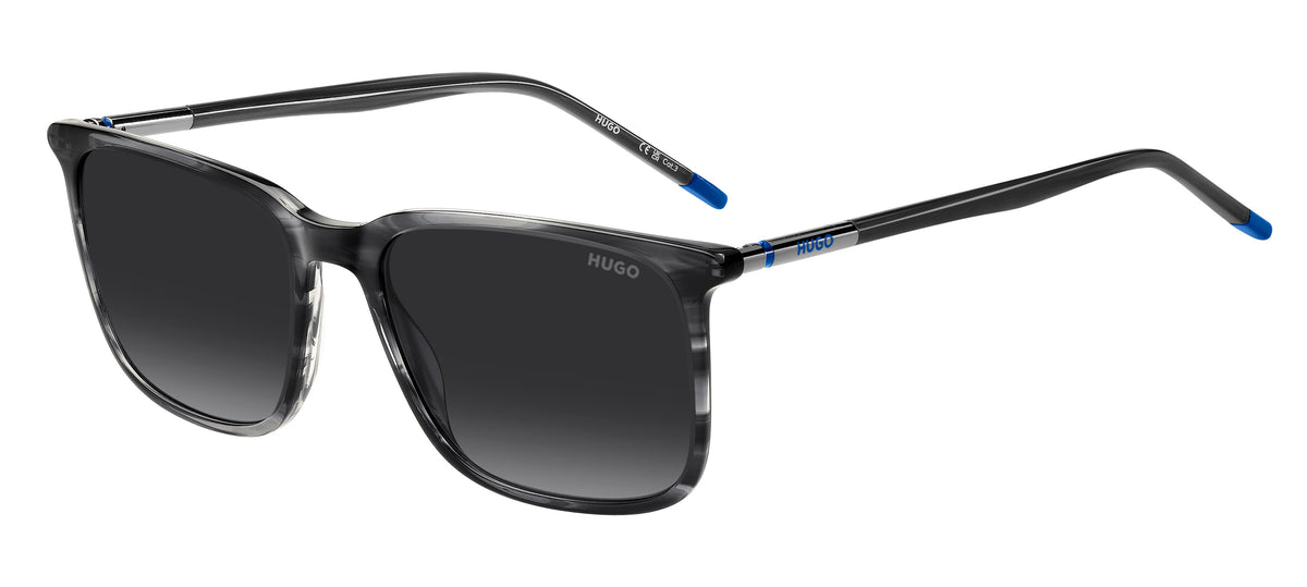 Hugo Boss HG 1344/S 2W8/9O