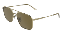 Calvin Klein CK26121S 717