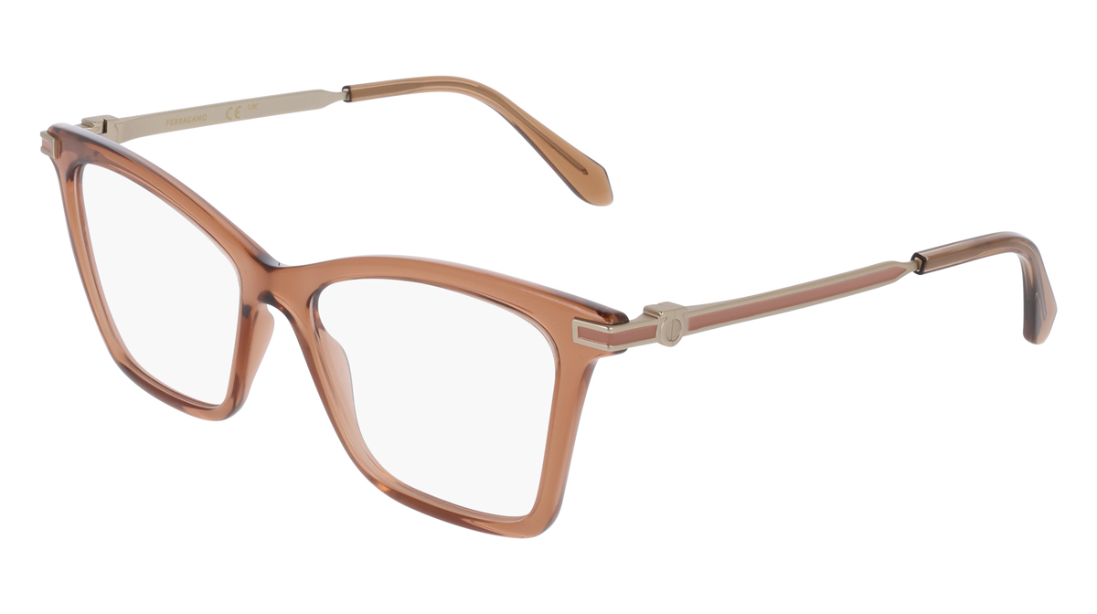 Ferragamo SF3024 232