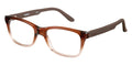 Carrera CA6653 TPP