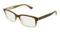 Alexander McQueen AM0575O 012