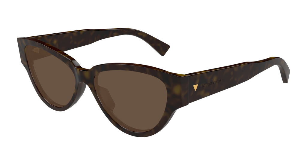 Bottega Veneta BV1319S 002